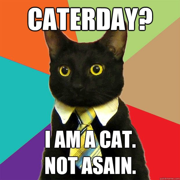 caterday? i am a cat.
Not asain. - caterday? i am a cat.
Not asain.  Business Cat