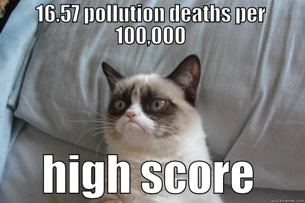 16.57 POLLUTION DEATHS PER 100,000 HIGH SCORE Grumpy Cat