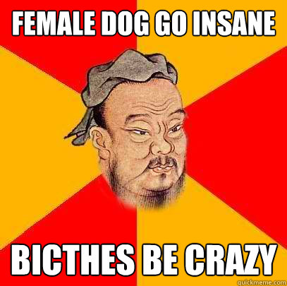 Female dog go insane bicthes be crazy - Female dog go insane bicthes be crazy  Confucius says