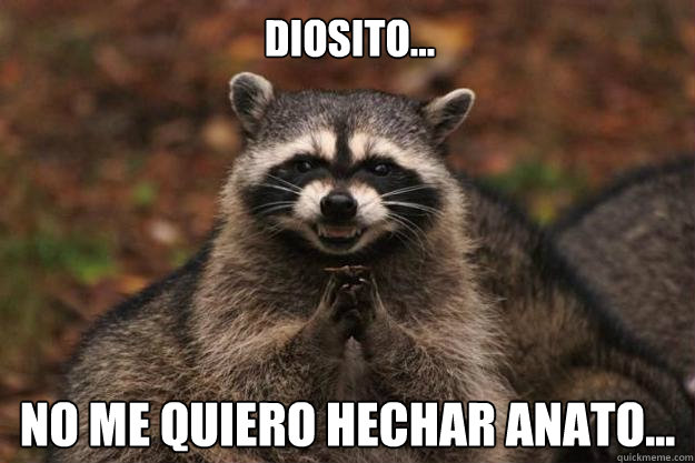 Diosito... no me quiero hechar anato...  Evil Plotting Raccoon