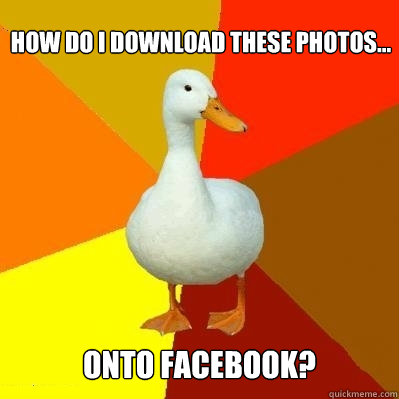 How do I download these photos... onto Facebook?  Tech Impaired Duck