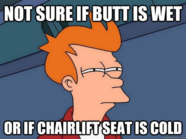 Not sure if butt is wet  Or if chairlift seat is cold  Futurama Fry