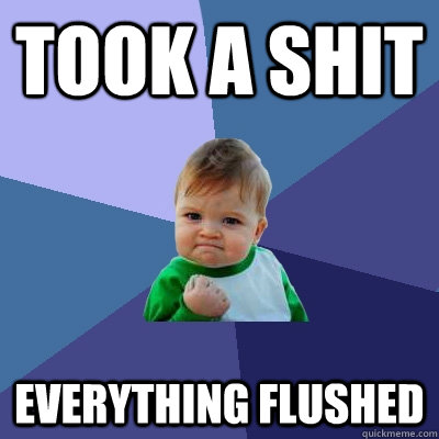 took a shit everything flushed  Success Kid