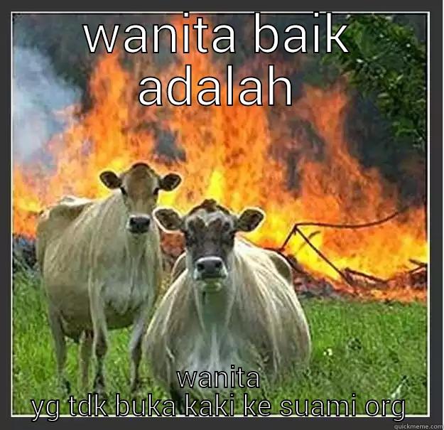 WANITA BAIK ADALAH WANITA YG TDK BUKA KAKI KE SUAMI ORG Evil cows