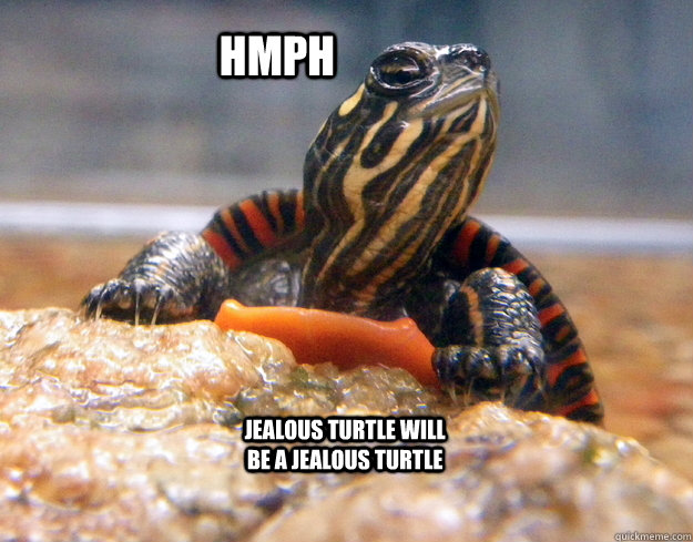 HMPH Jealous turtle will be a jealous turtle - HMPH Jealous turtle will be a jealous turtle  Misc