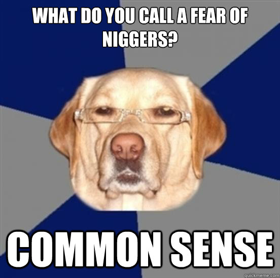 what do you call a fear of niggers? common sense  