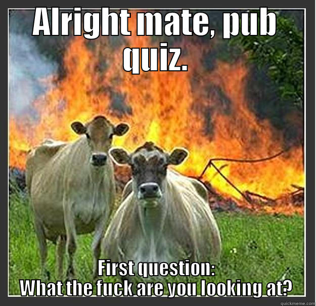 ALRIGHT MATE, PUB QUIZ. FIRST QUESTION: WHAT THE FUCK ARE YOU LOOKING AT? Evil cows