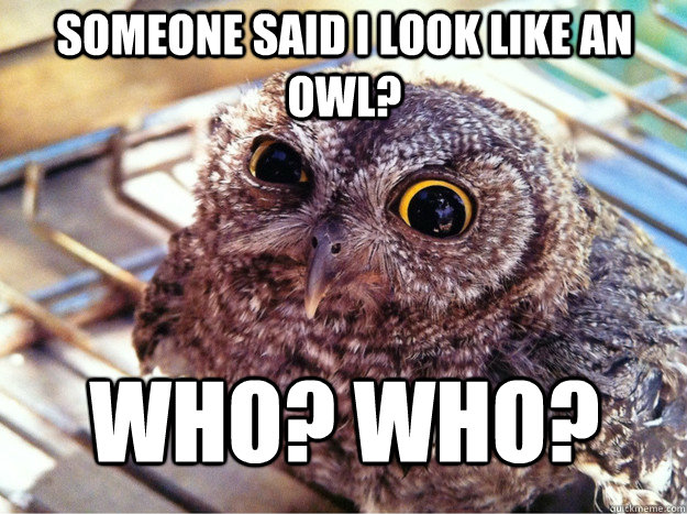 Someone said I look like an owl? WHO? WHO?  