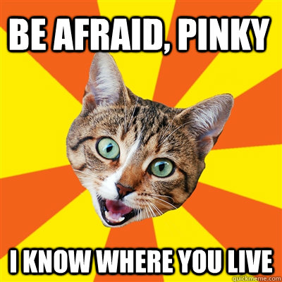 be afraid, Pinky I know where you live  Bad Advice Cat