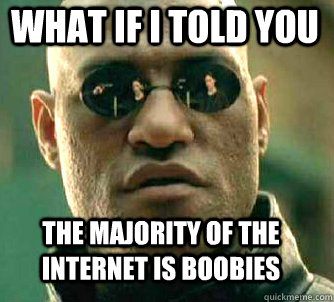 what if i told you the majority of the internet is boobies  Matrix Morpheus