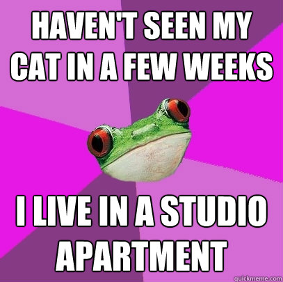 Haven't seen my cat in a few weeks I live in a studio apartment  Foul Bachelorette Frog