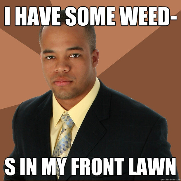 I have some weed- s in my front lawn  Successful Black Man