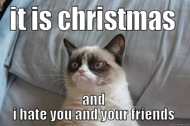 IT IS CHRISTMAS AND I HATE YOU AND YOUR FRIENDS Grumpy Cat