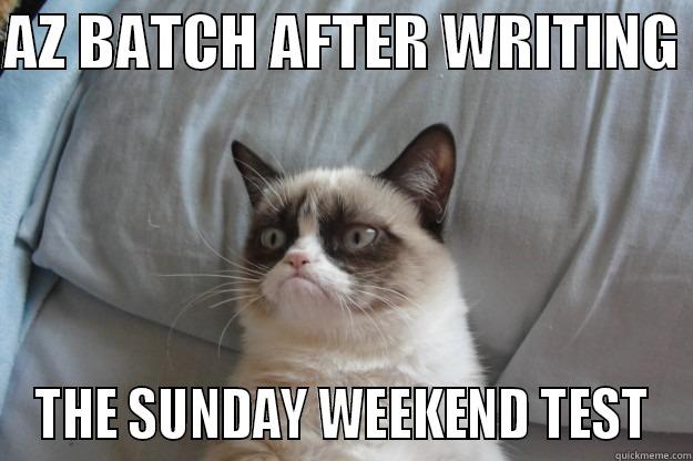 AZ BATCH AFTER WRITING  THE SUNDAY WEEKEND TEST Grumpy Cat