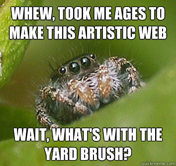 Whew, took me ages to make this artistic web Wait, what's with the Yard Brush?  Misunderstood Spider