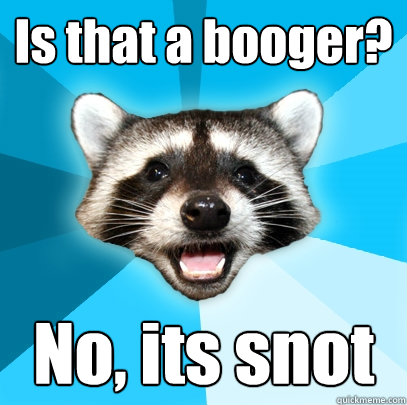 Is that a booger? No, its snot  Lame Pun Coon