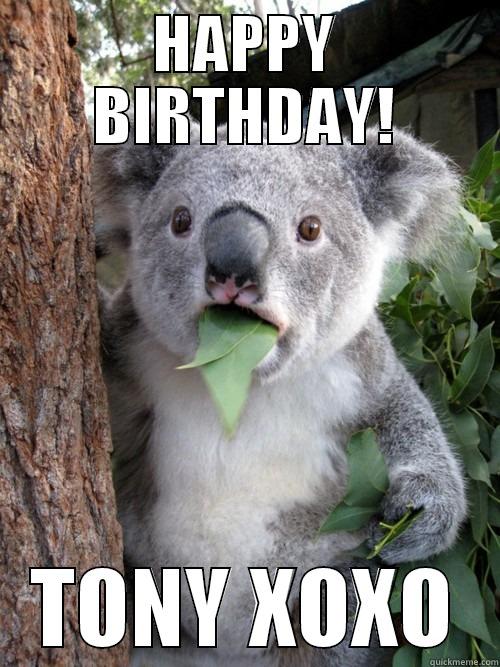 HAPPY BIRTHDAY! TONY XOXO koala bear