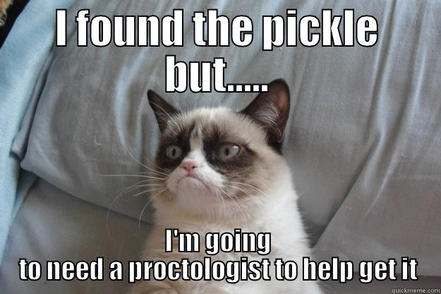 I FOUND THE PICKLE BUT….. I'M GOING TO NEED A PROCTOLOGIST TO HELP GET IT Grumpy Cat