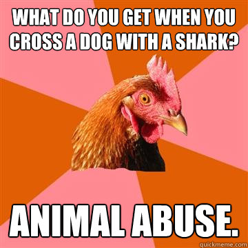 What do you get when you cross a dog with a shark? Animal abuse.  Anti-Joke Chicken