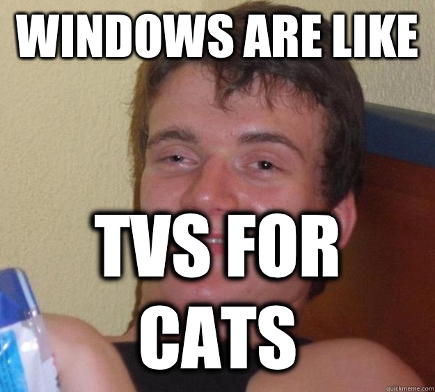 Windows are like  Tvs for cats - Windows are like  Tvs for cats  10 Guy