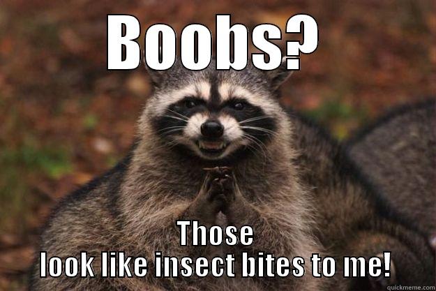 BOOBS? THOSE LOOK LIKE INSECT BITES TO ME! Evil Plotting Raccoon