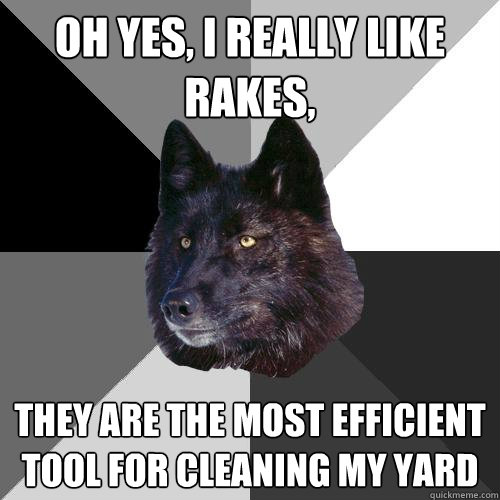 Oh yes, I really like rakes, they are the most efficient tool for cleaning my yard  Sanity Wolf