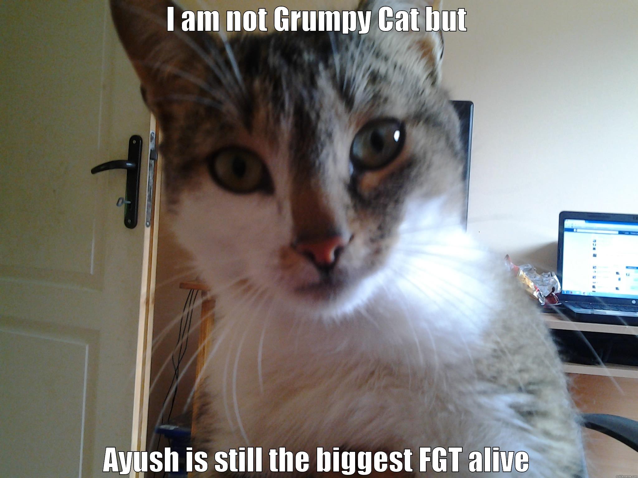 fryu tfutf fufftuu ftft - I AM NOT GRUMPY CAT BUT AYUSH IS STILL THE BIGGEST FGT ALIVE Misc