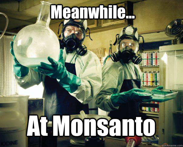 Meanwhile... At Monsanto  