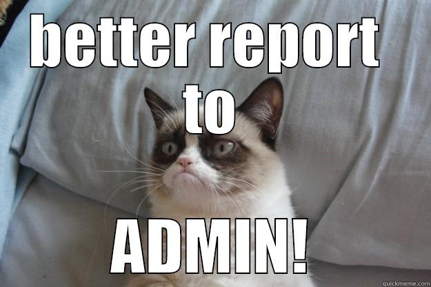 better report to admin - BETTER REPORT  TO ADMIN! Grumpy Cat