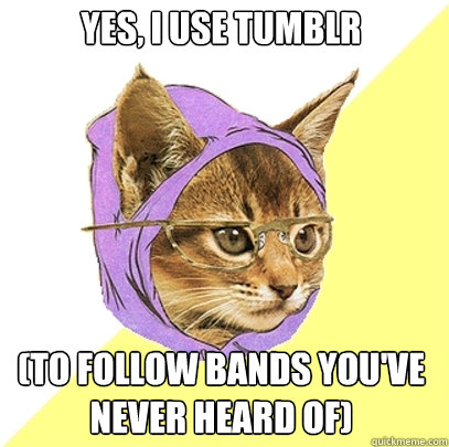 Yes, I use tumblr (to follow bands you've never heard of)  Hipster Kitty