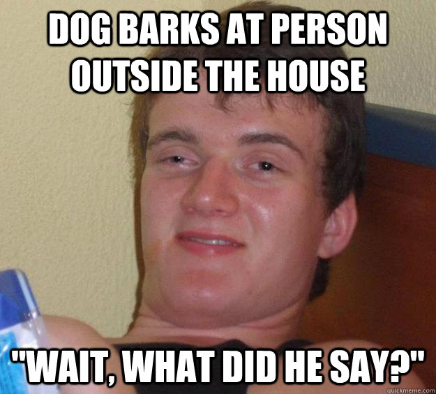 Dog barks at person outside the house 