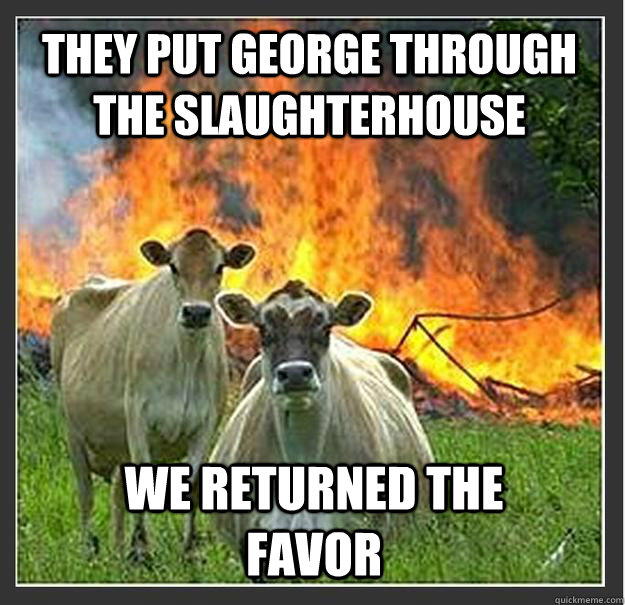 They put george through the slaughterhouse We returned the favor  Evil cows