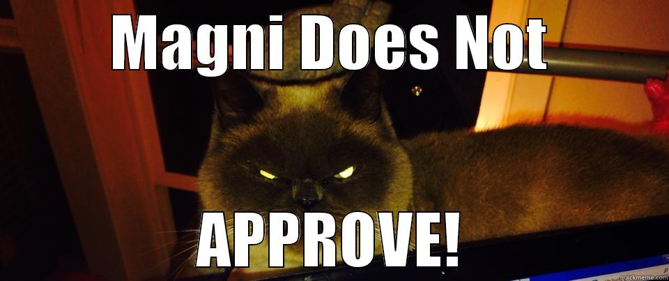 Magni does not approve - MAGNI DOES NOT APPROVE! Misc