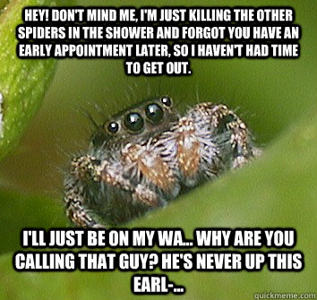 Hey! Don't mind me, i'm just killing the other spiders in the shower and forgot you have an early appointment later, so i haven't had time to get out. I'll just be on my wa... why are you calling that guy? He's never up this earl-... - Hey! Don't mind me, i'm just killing the other spiders in the shower and forgot you have an early appointment later, so i haven't had time to get out. I'll just be on my wa... why are you calling that guy? He's never up this earl-...  Misunderstood Spider