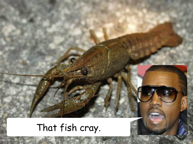 That fish cray.  