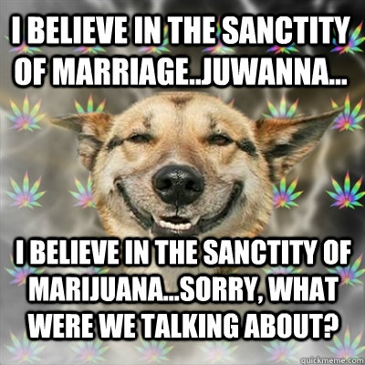 I believe in the sanctity of marriage..juwanna... i believe in The sanctity of marijuana...Sorry, what were we talking about?  Stoner Dog