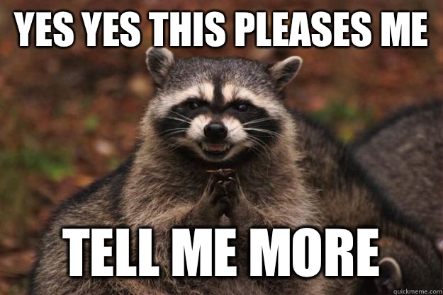 Yes yes this pleases me Tell me more  Evil Plotting Raccoon