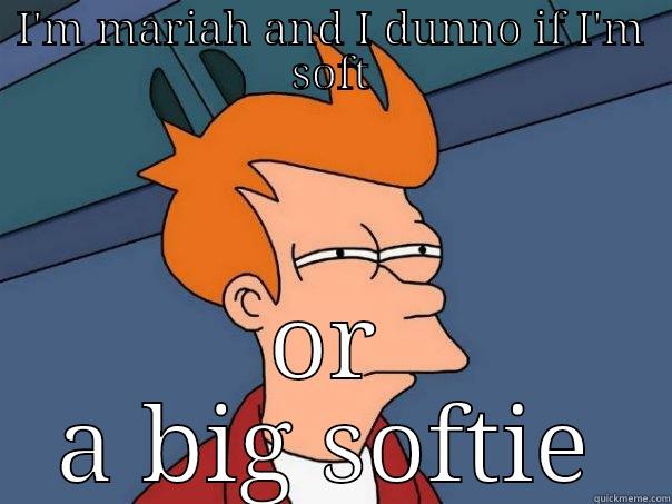 I'M MARIAH AND I DUNNO IF I'M SOFT OR A BIG SOFTIE Futurama Fry