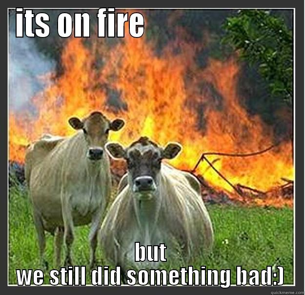 we did something evil - ITS ON FIRE                         BUT WE STILL DID SOMETHING BAD:) Evil cows