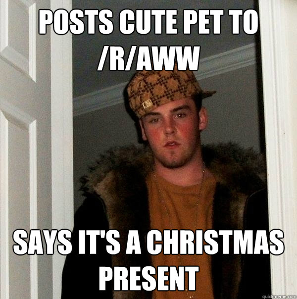 Posts Cute pet to /r/aww Says it's a Christmas present - Posts Cute pet to /r/aww Says it's a Christmas present  Scumbag Steve