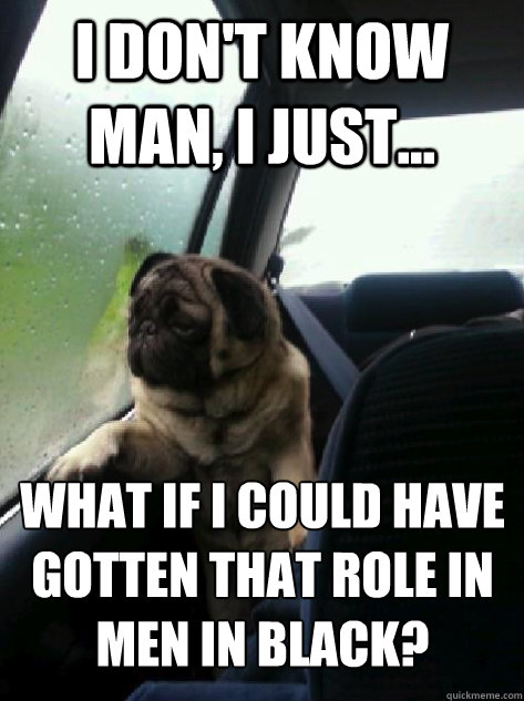 I don't know man, I just... what if I could have gotten that role in 
men in black?  Introspective Pug