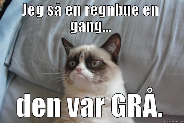 I am NOT amused. - JEG SÅ EN REGNBUE EN GANG... DEN VAR GRÅ. Grumpy Cat