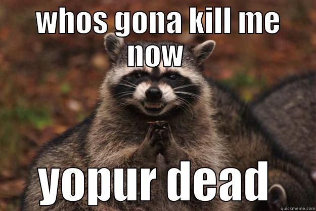 whats next -  WHOS GONA KILL ME NOW YOPUR DEAD Evil Plotting Raccoon