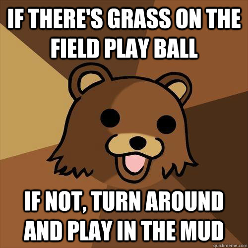 If there's grass on the field play ball If not, turn around and play in the mud - If there's grass on the field play ball If not, turn around and play in the mud  Pedobear