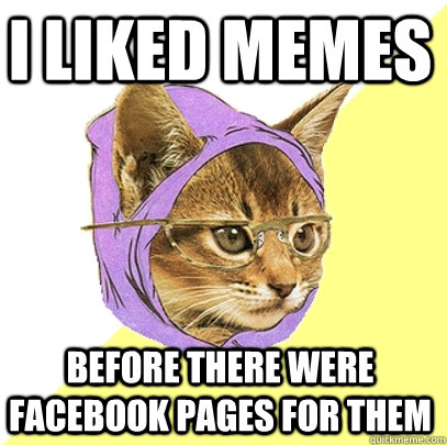 I liked memes before there were facebook pages for them  Hipster Kitty