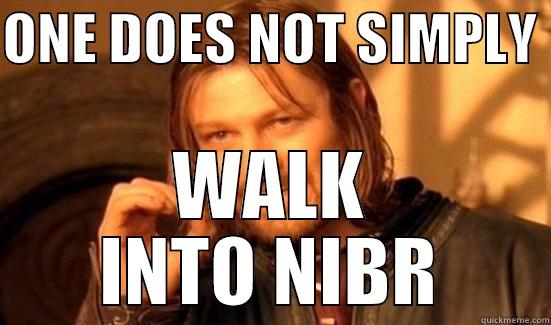 ONE DOES NOT SIMPLY  WALK INTO NIBR Boromir