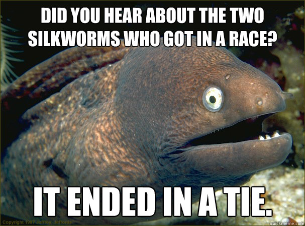 Did you hear about the two silkworms who got in a race? It ended in a tie.  Bad Joke Eel