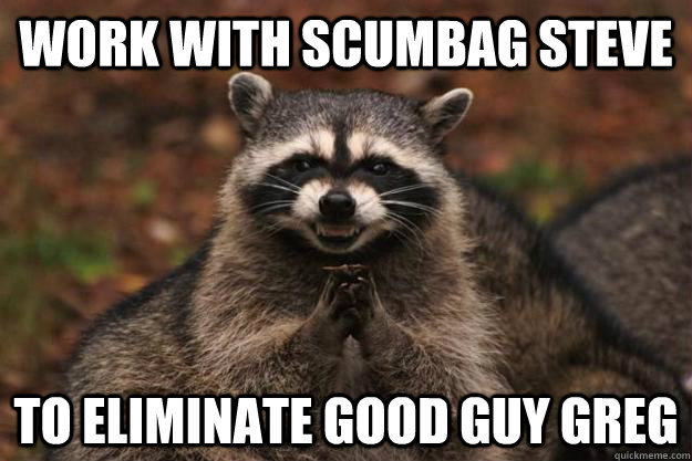 work with scumbag steve to eliminate good guy greg   Evil Plotting Raccoon