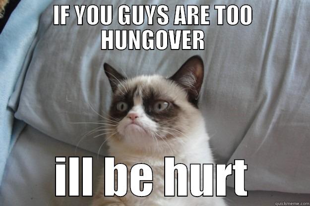 IF YOU GUYS ARE TOO HUNGOVER ILL BE HURT Grumpy Cat