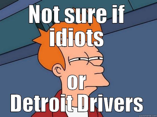 NOT SURE IF IDIOTS OR DETROIT DRIVERS Futurama Fry